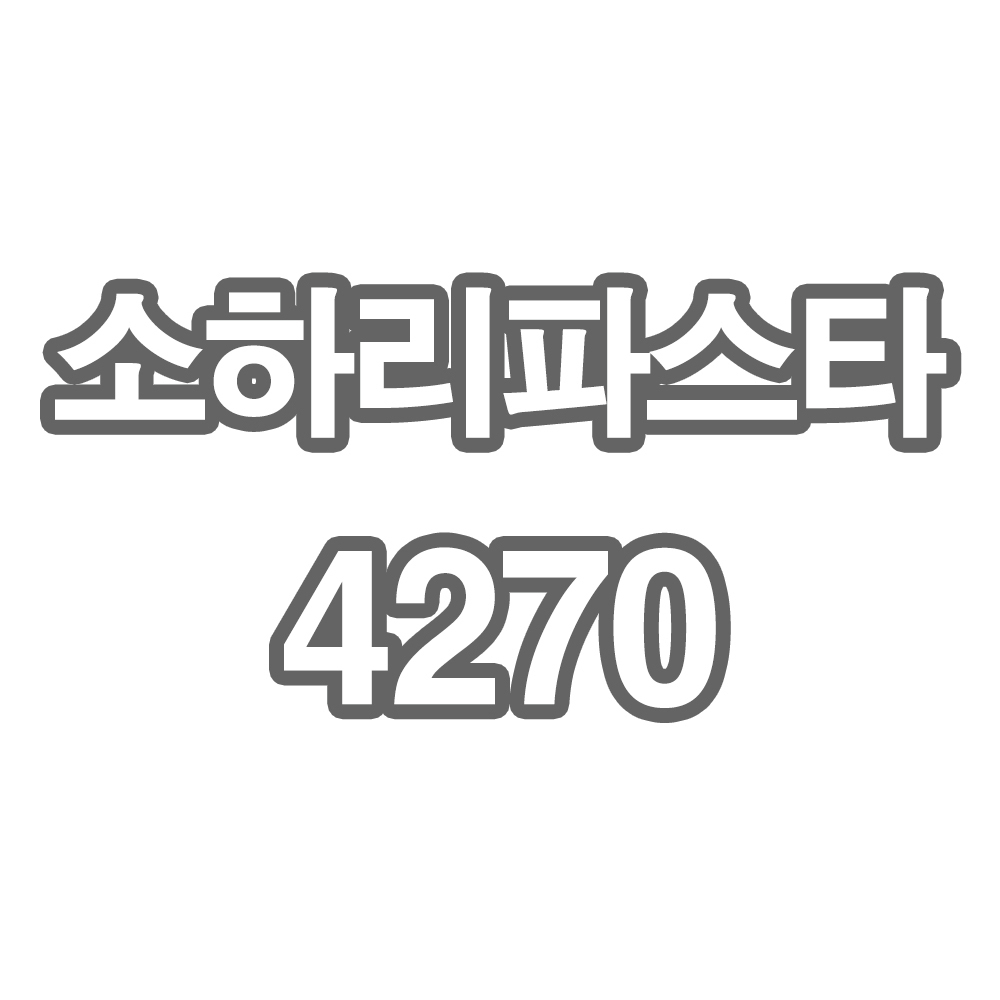 SL1 DV2 HT12 소하리파스타4270 - 개인결제창