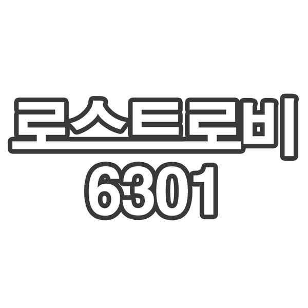 로스트로비6301- 개인결제창